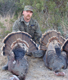 turkey hunting pictures