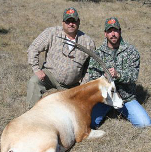 Oryx hunting pictures